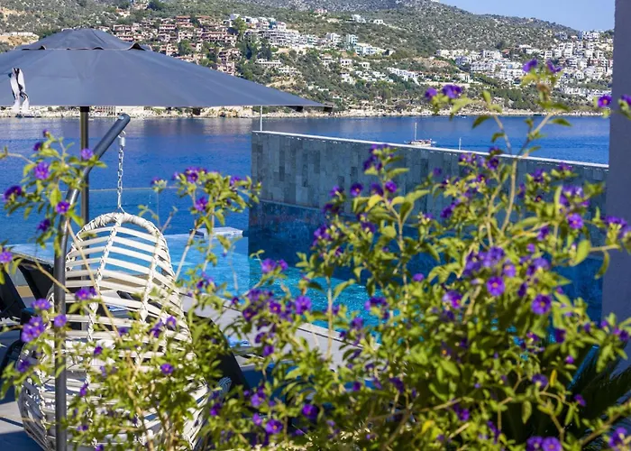 Margini 2 * Kalkan